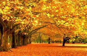 herfst