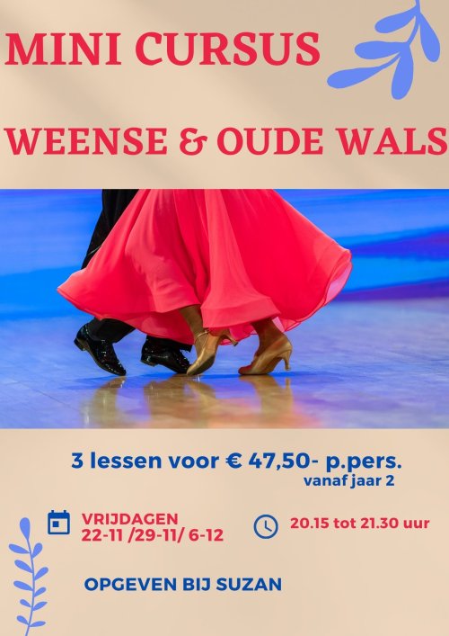 mini cursus WALSEN v.a. JAAR 2 (1)-1