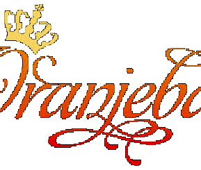 OranjebalLogo